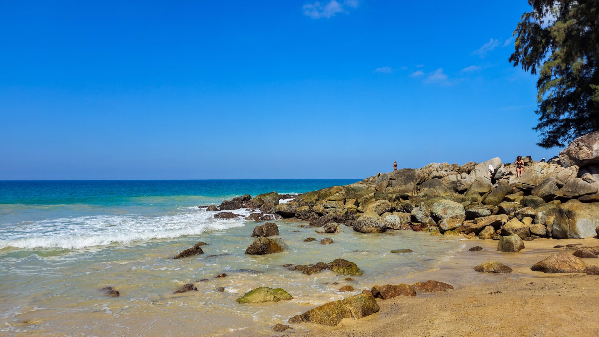 Rocky shoreline with waves crashing below casuarina and palm trees.