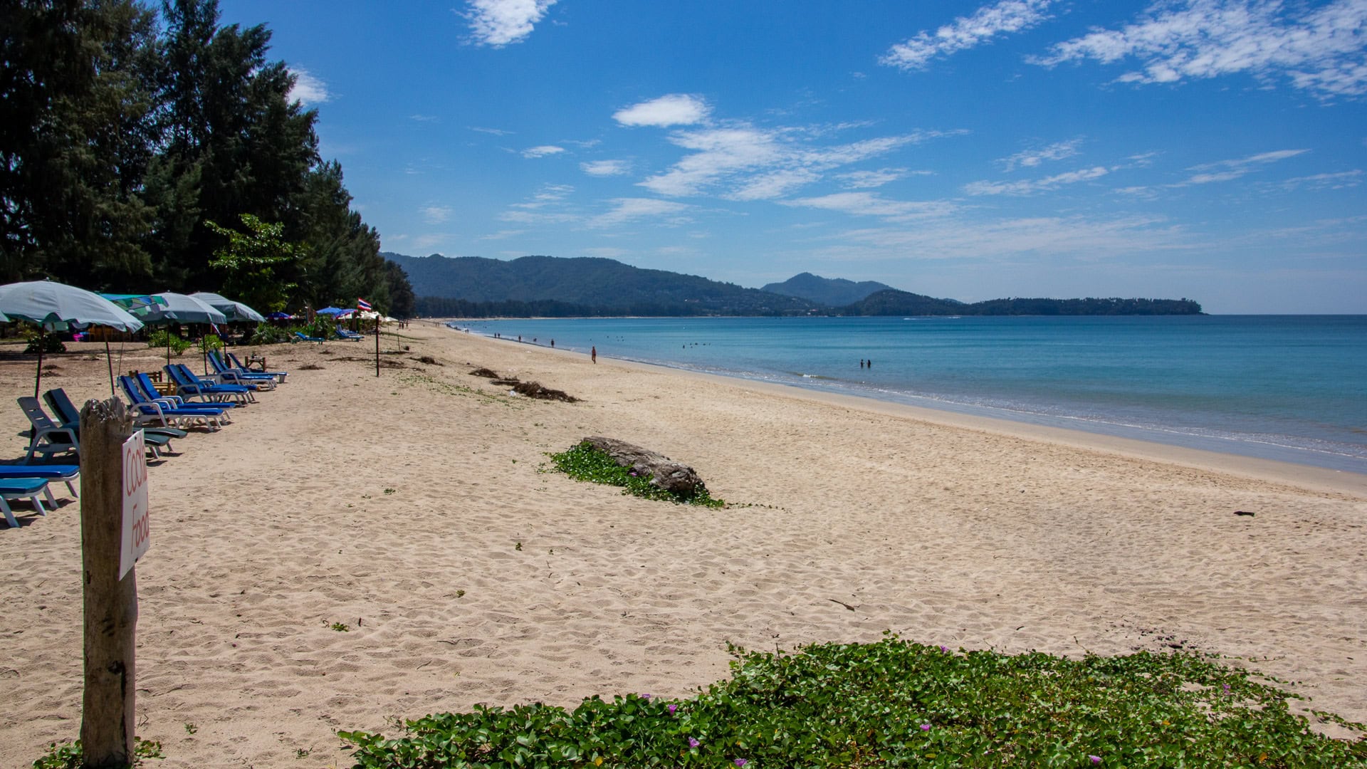 Sunbeds and umbrellas along a quiet golden sand shoreline with calm sea.