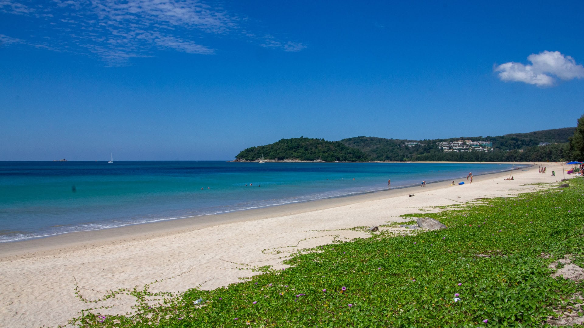 View south toward Bang Tao with blue water and low forested headland.
