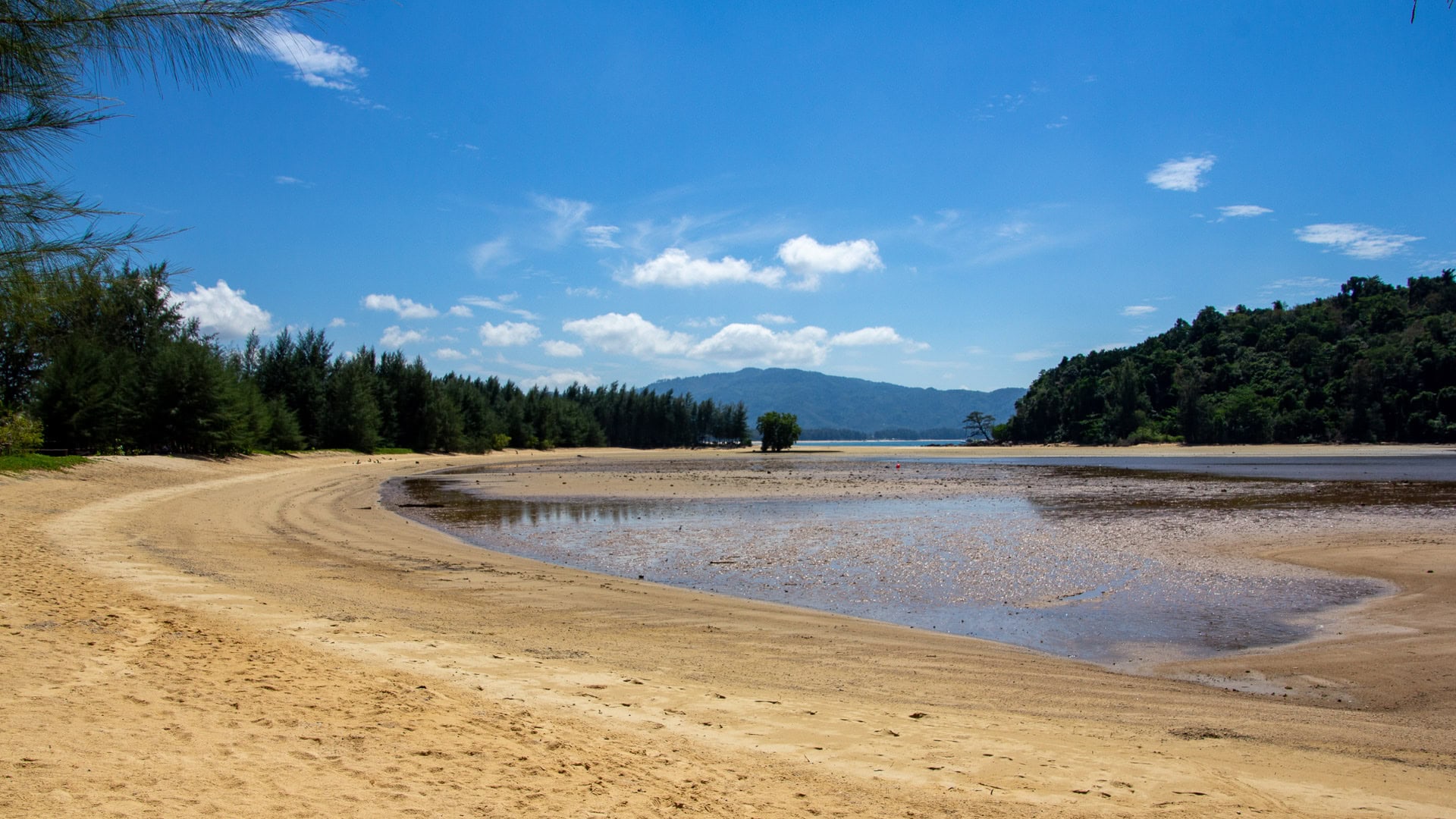 Lagoon area at low tide with curved sand and tree line behind.