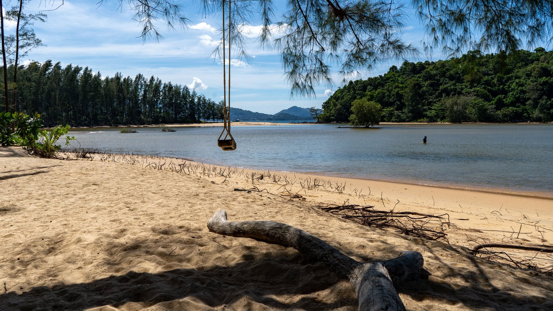 Rope swing hanging over shaded sand beside the lagoon.