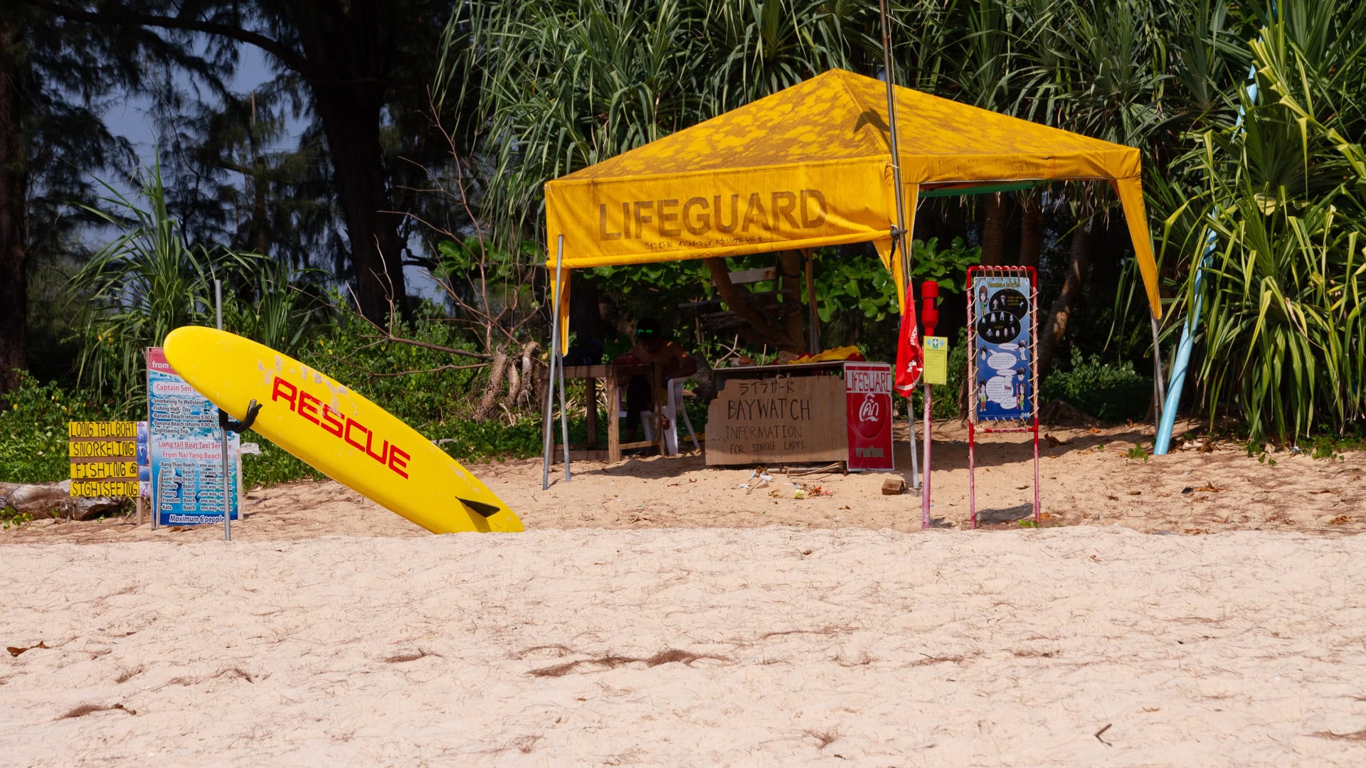Long stretch of quiet sandy coast at Nai Yang Beach Phuket with scattered driftwood and natural vegetation.