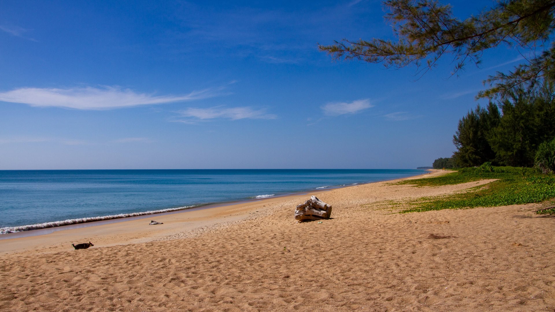 Clear water washing over wet sand on Nai Yang Beach Phuket with soft wave patterns and open horizon.