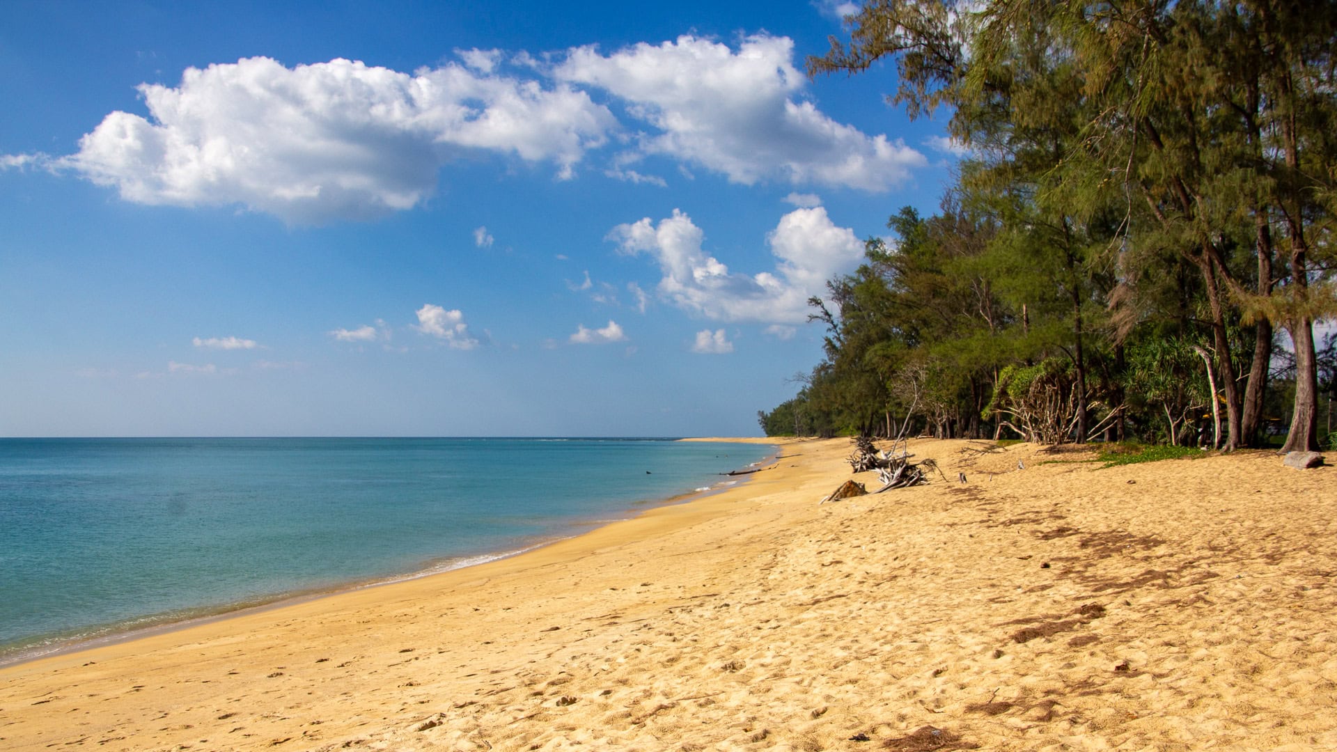 Sai Kaew Beach Phuket view south toward Mai Khao Beach with tree line along the upper berm.