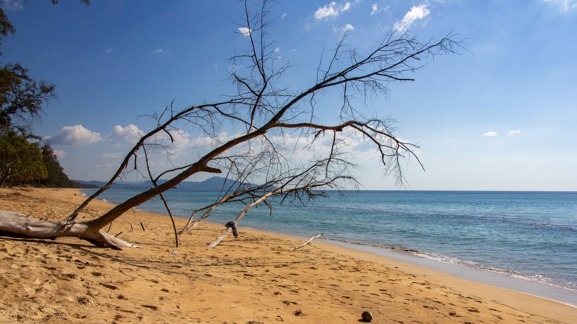 Sai Kaew Beach Phuket showing fallen tree branches on the sand near the waterline.