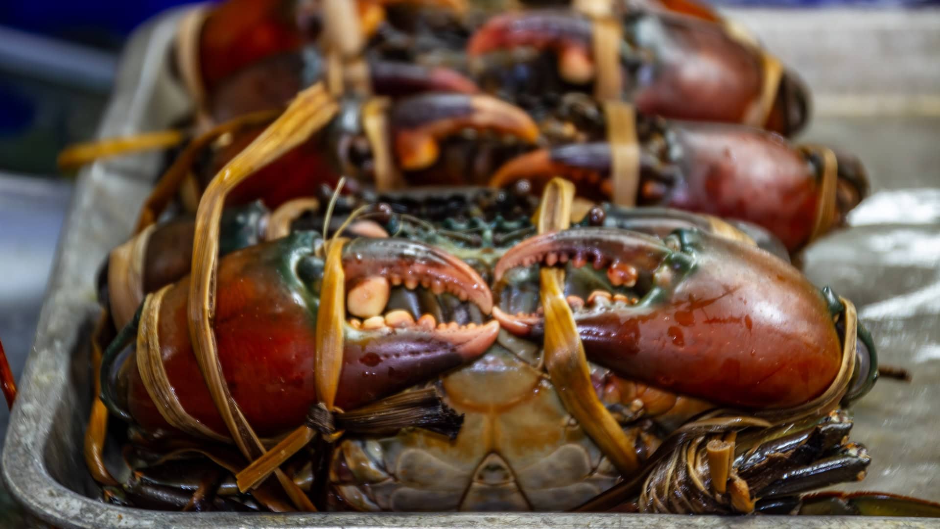 Banzaan Fresh Market Phuket seafood display with live crabs tied with straw and stacked in a shallow container.