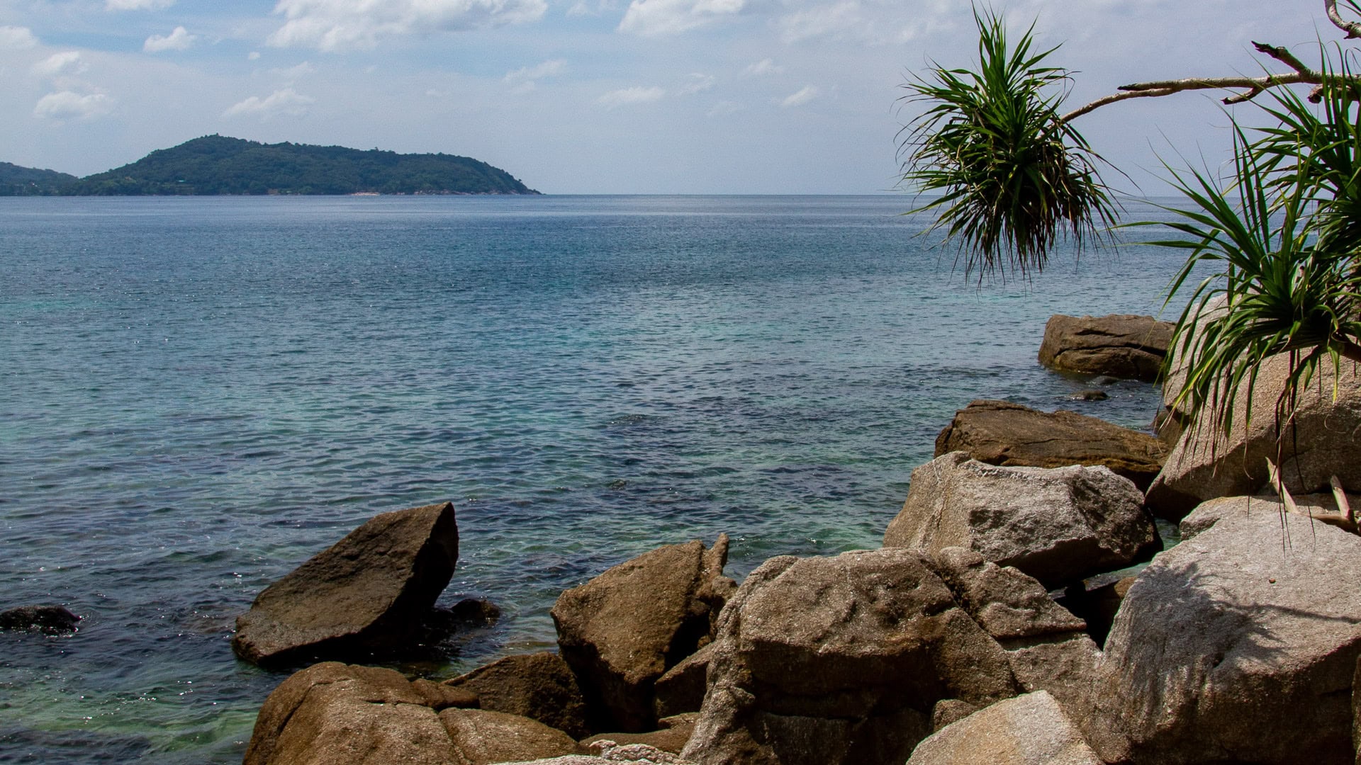 Yae Beach Phuket palm tree framing the bay and distant headland