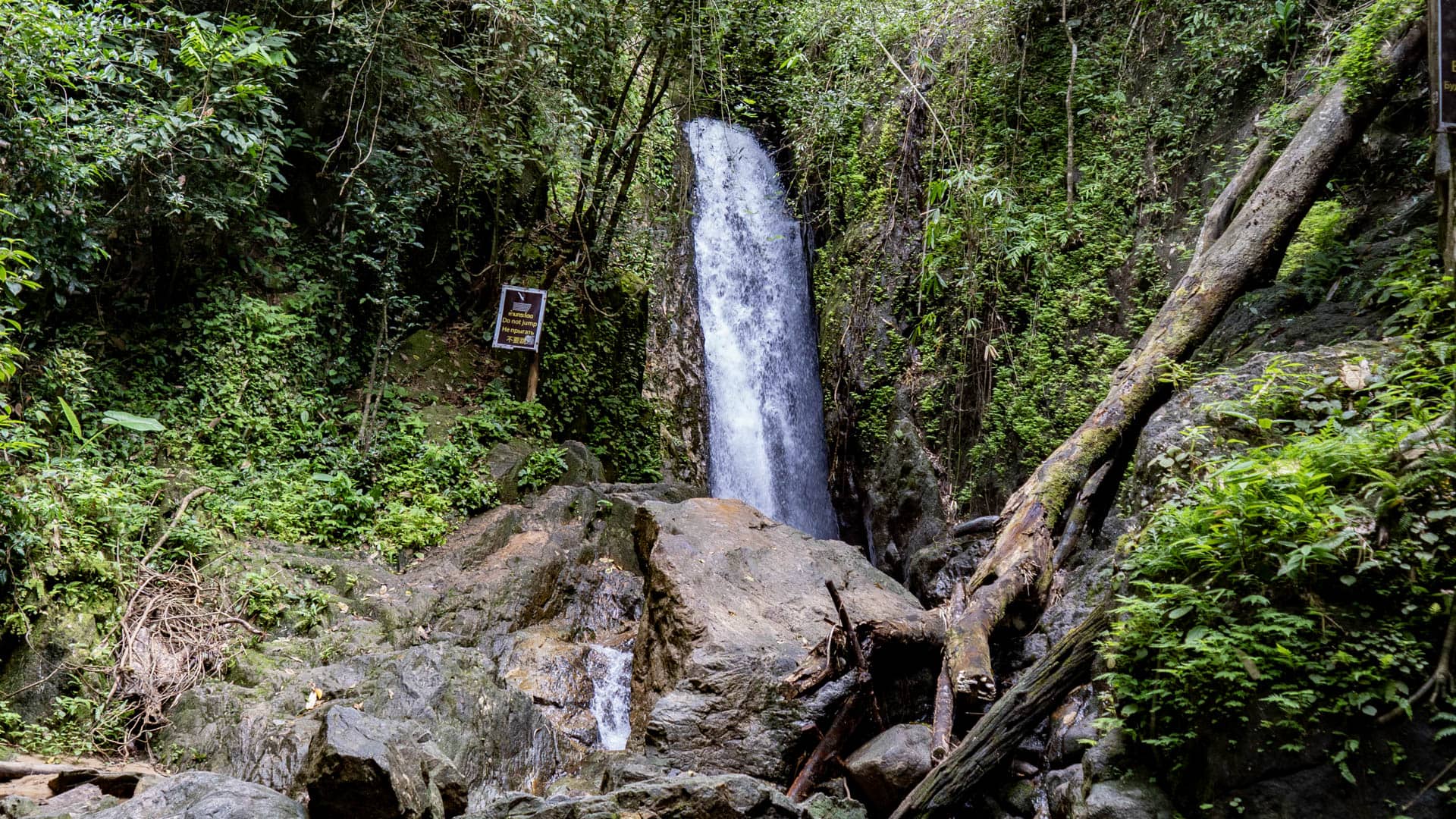 The main waterfall at Bang Pae Waterfall drops through a narrow rock cleft, with a “Do not jump” sign posted on the left and fallen trunks at the base.
